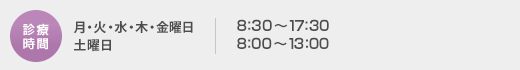 fÎԁ@`j 9:00`18:00@yj 9:00`12:30